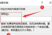 如何给文件设置密码保护（详细步骤教你保护文件安全）