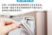 冰箱封条的清洗方法（保持冰箱封条的清洁与健康）