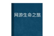 排名前十的网游小说有哪些？最受欢迎的网游小说特点是什么？