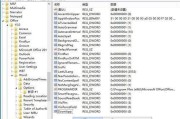 注册表写入时间的重要性及分析方法（探究注册表写入时间在系统维护中的关键作用及相关技巧）