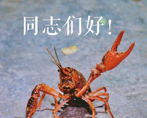 普天油烟机清洗方法（轻松保持油烟机清洁）