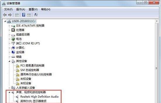 电脑突然没声音的原因及解决方法（解析电脑失声问题）